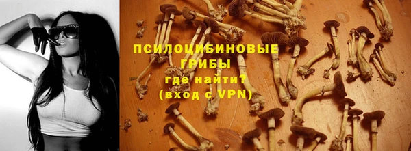СК Красноперекопск